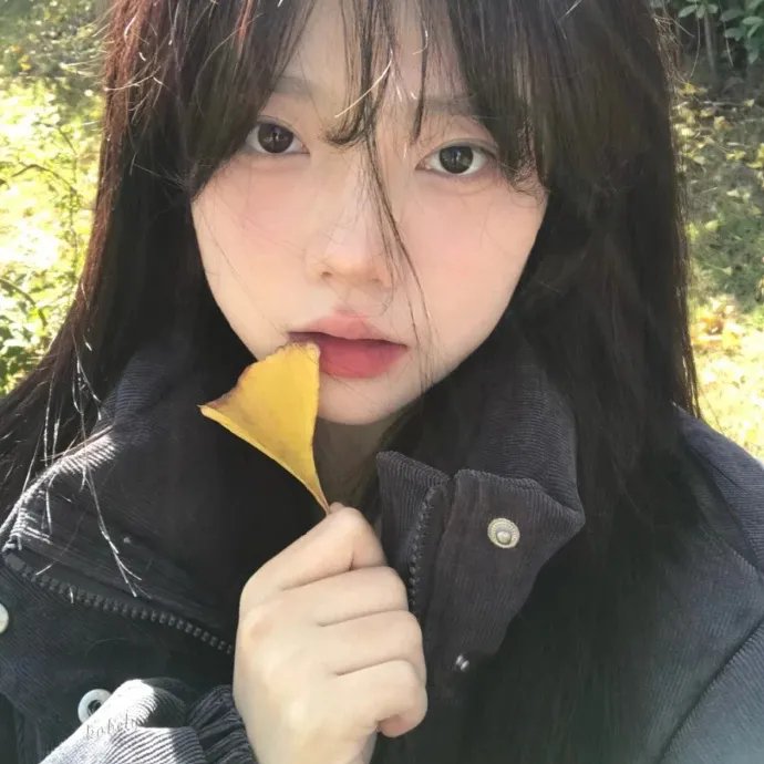 狐狸女士第二季